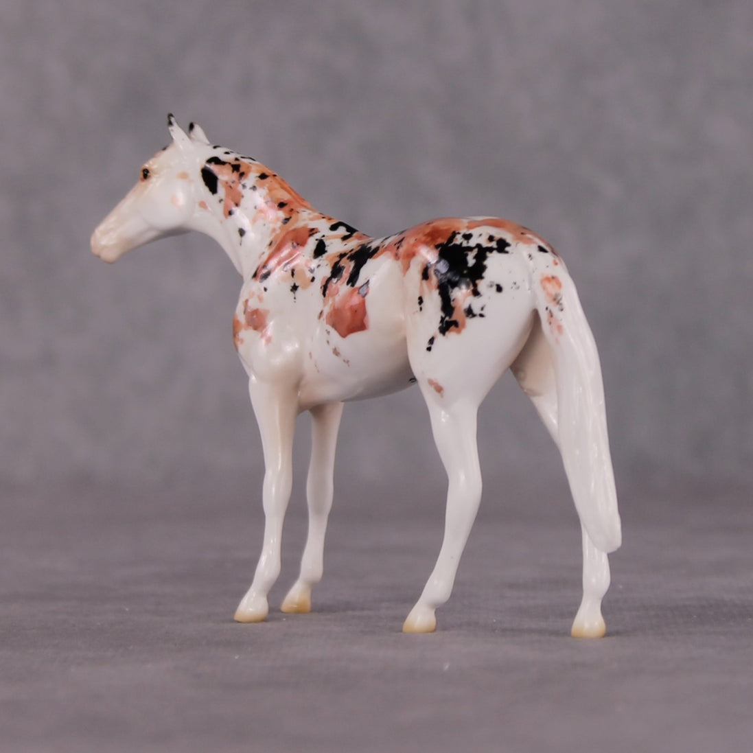 "Koincidence" OOAK Glossy Koi Inspired Thoroughbred Chip by Jess Hamill