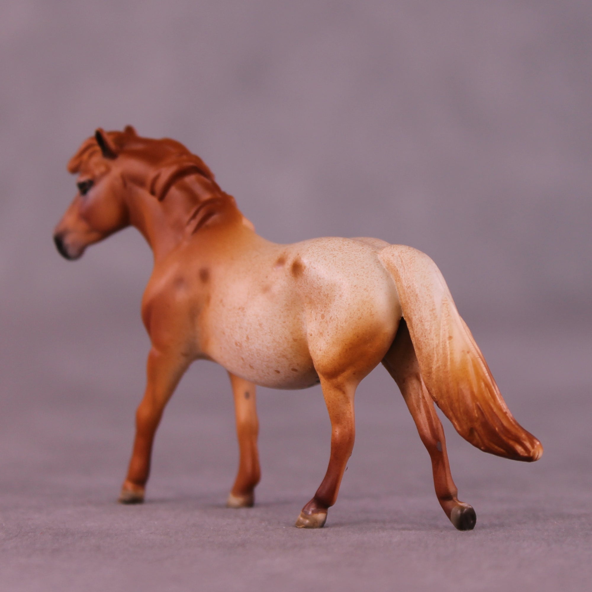 Margarida Sample Chip Pony by Dawn Quick SS925