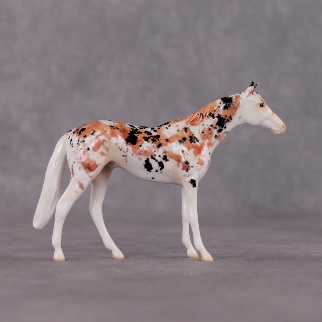 "Koincidence" OOAK Glossy Koi Inspired Thoroughbred Chip by Jess Hamill