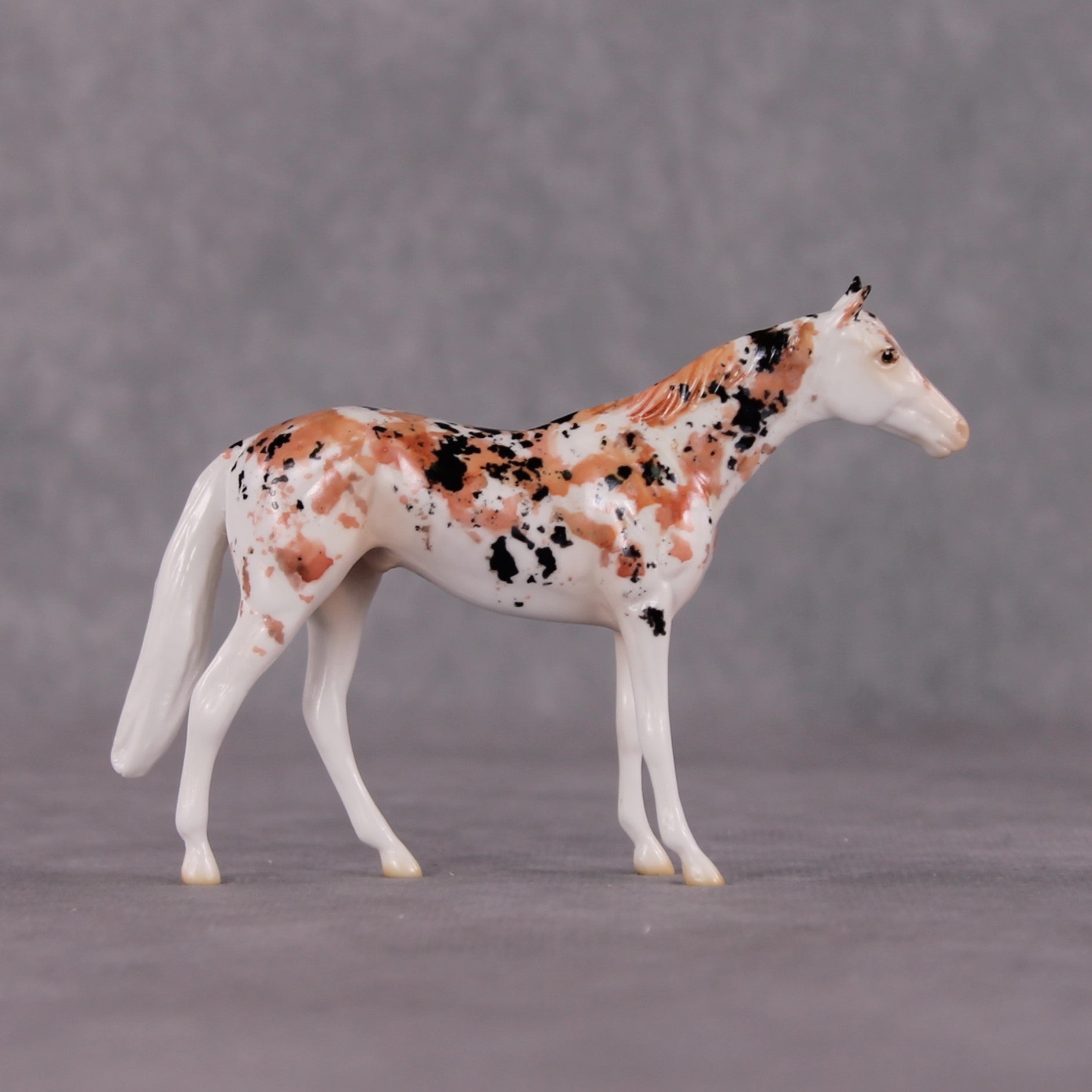 "Koincidence" OOAK Glossy Koi Inspired Thoroughbred Chip by Jess Hamill