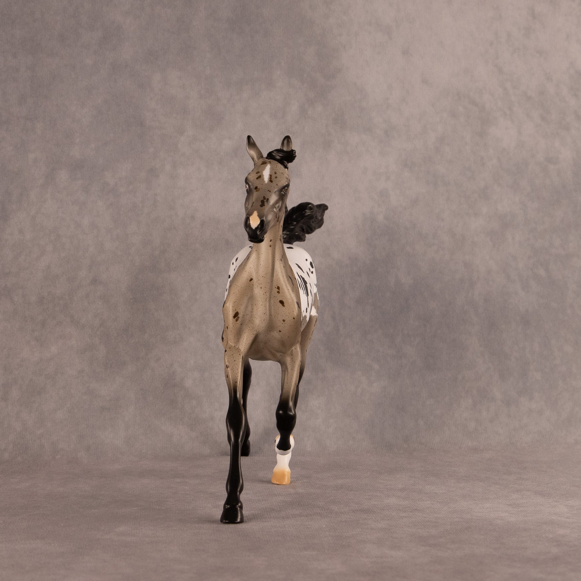 Astoria OOAK FCM Arabian Yearling by Anna Rieck EQ26
