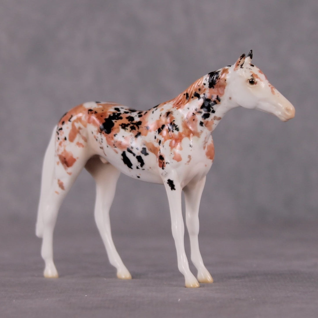 "Koincidence" OOAK Glossy Koi Inspired Thoroughbred Chip by Jess Hamill