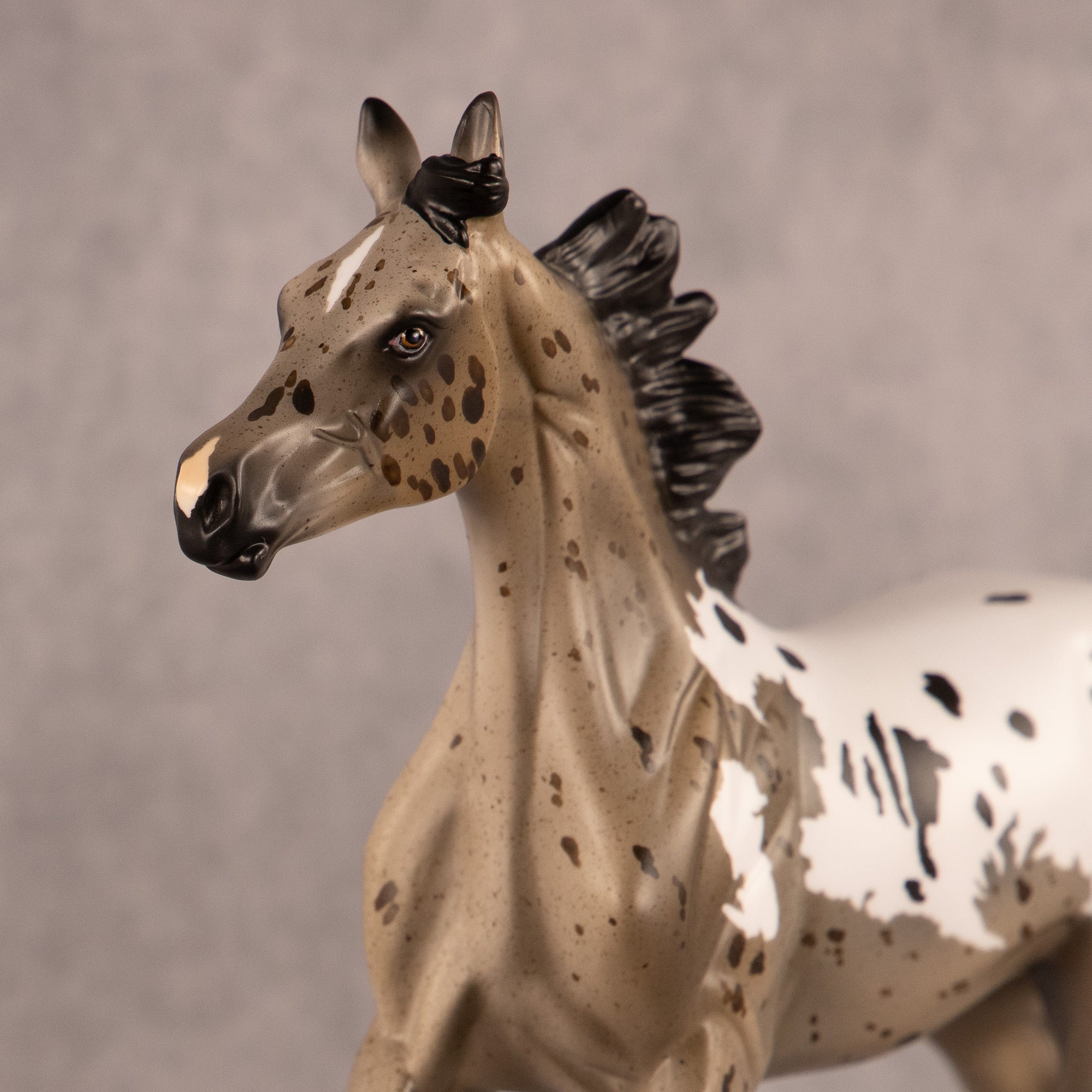 Astoria OOAK FCM Arabian Yearling by Anna Rieck EQ26