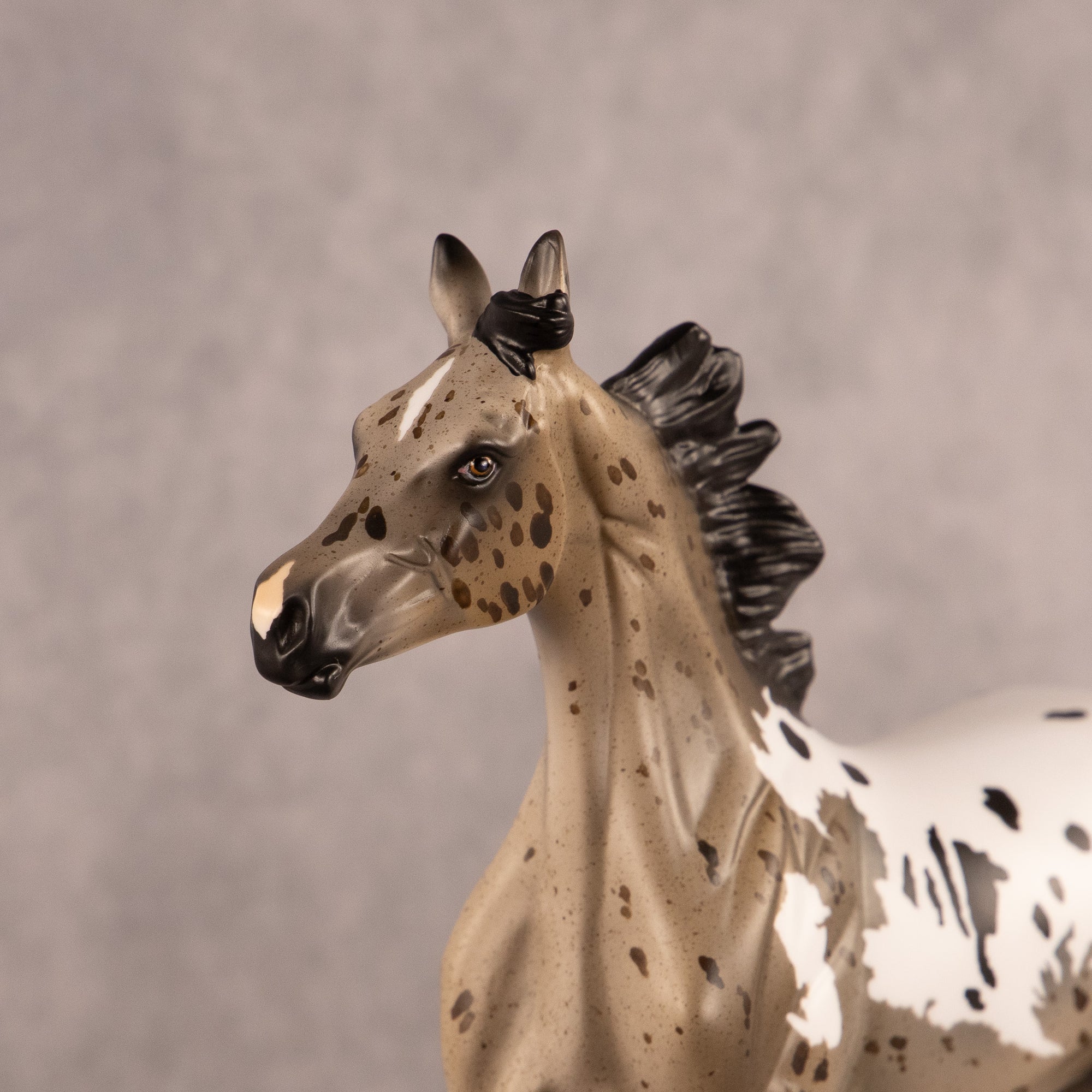 Astoria OOAK FCM Arabian Yearling by Anna Rieck EQ26