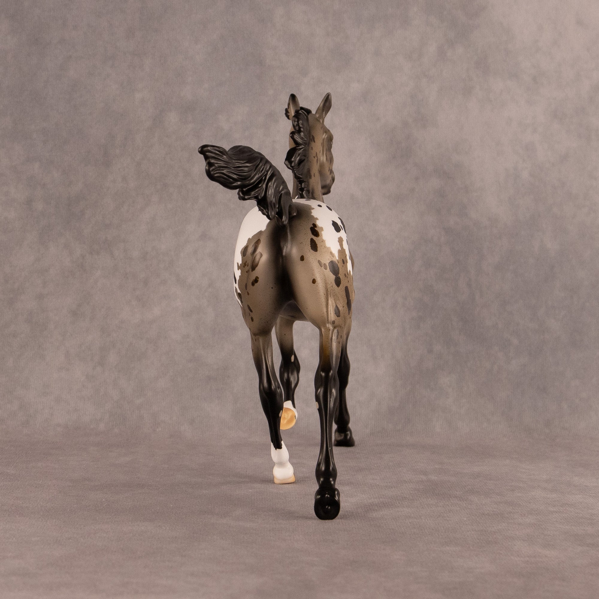 Astoria OOAK FCM Arabian Yearling by Anna Rieck EQ26
