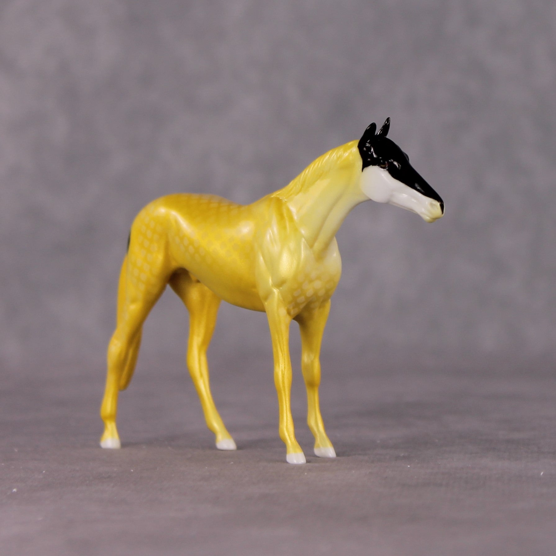 "Mr. Forcipiger Flavissimus" OOAK Glossy Yellow Longnose Butterfly Fish Inspired Thoroughbred Chip by Jess Hamill