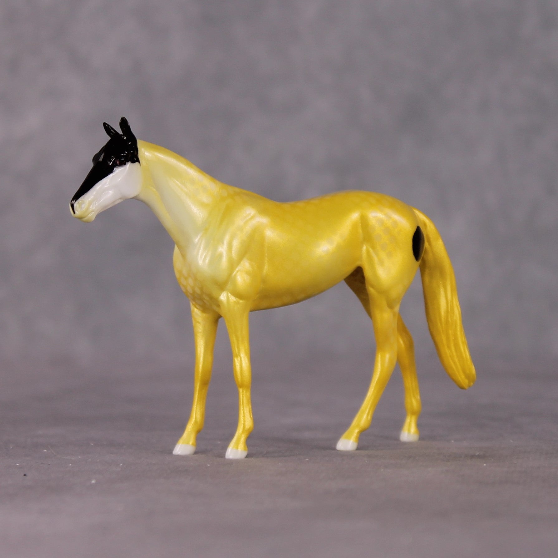 "Mr. Forcipiger Flavissimus" OOAK Glossy Yellow Longnose Butterfly Fish Inspired Thoroughbred Chip by Jess Hamill