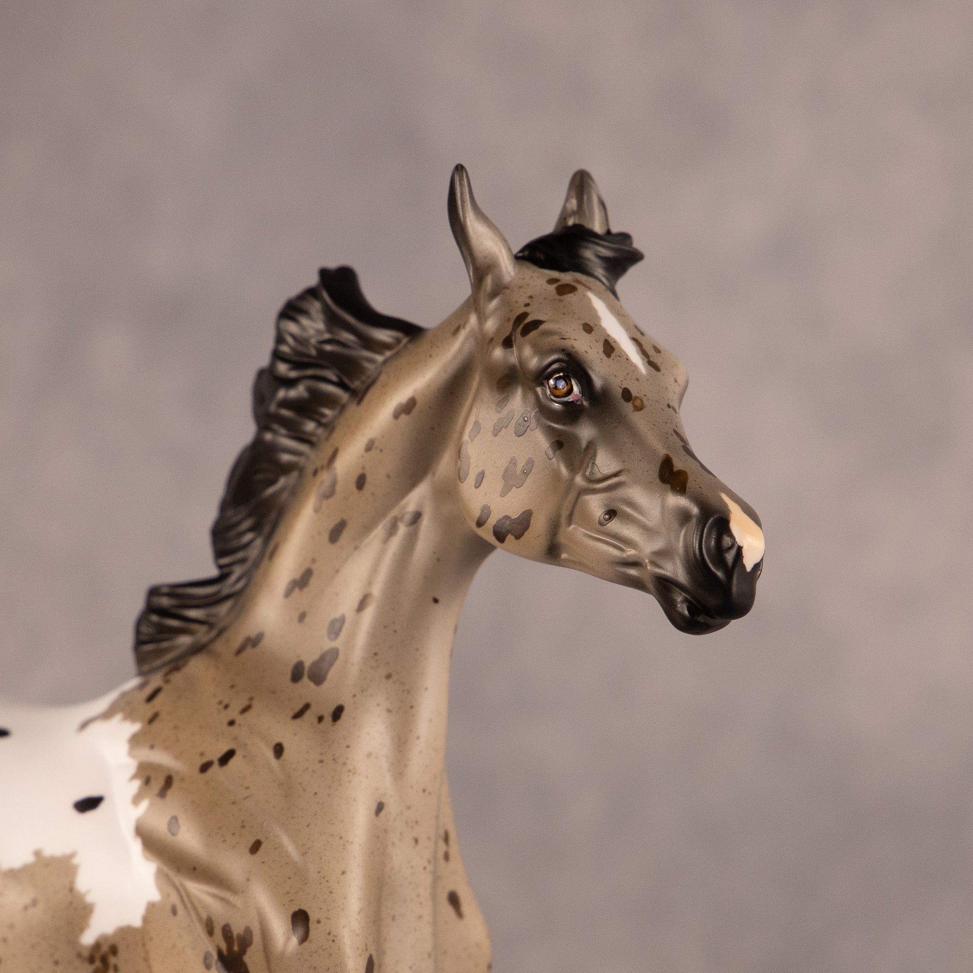 Astoria OOAK FCM Arabian Yearling by Anna Rieck EQ26