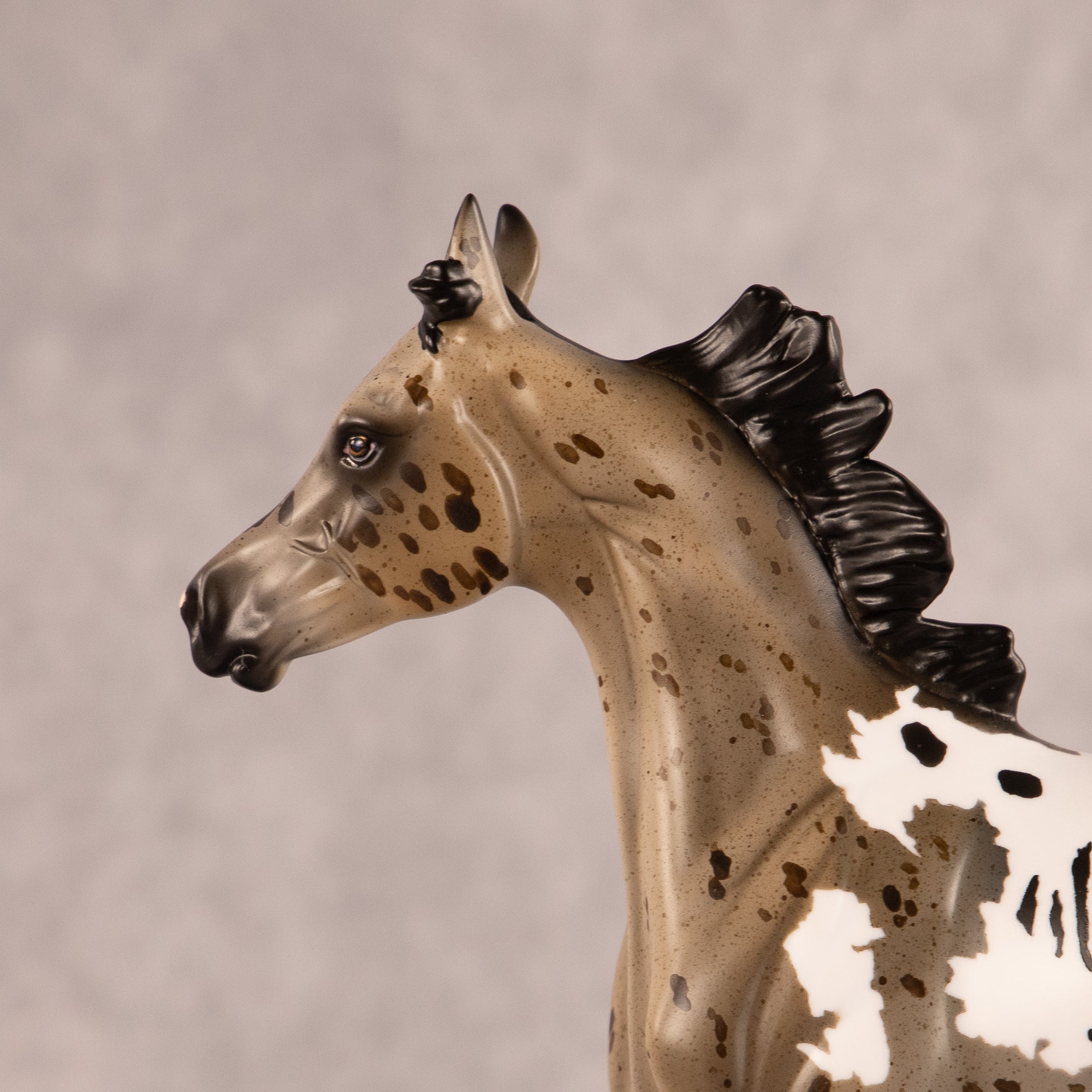 Astoria OOAK FCM Arabian Yearling by Anna Rieck EQ26