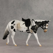 Muletastically Eloquent LE-15 EFCM Mule by Anna Rieck PFP26
