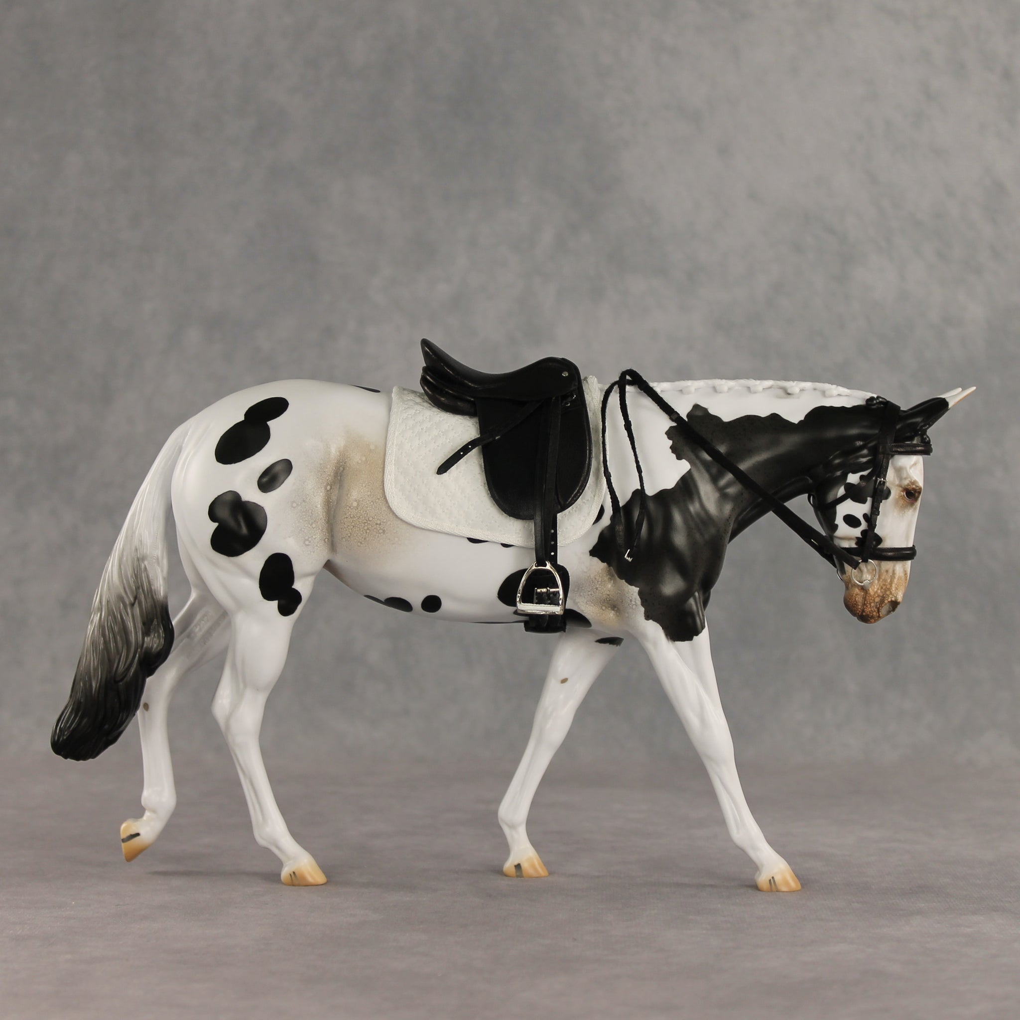 Muletastically Eloquent LE-15 EFCM Mule by Anna Rieck PFP26