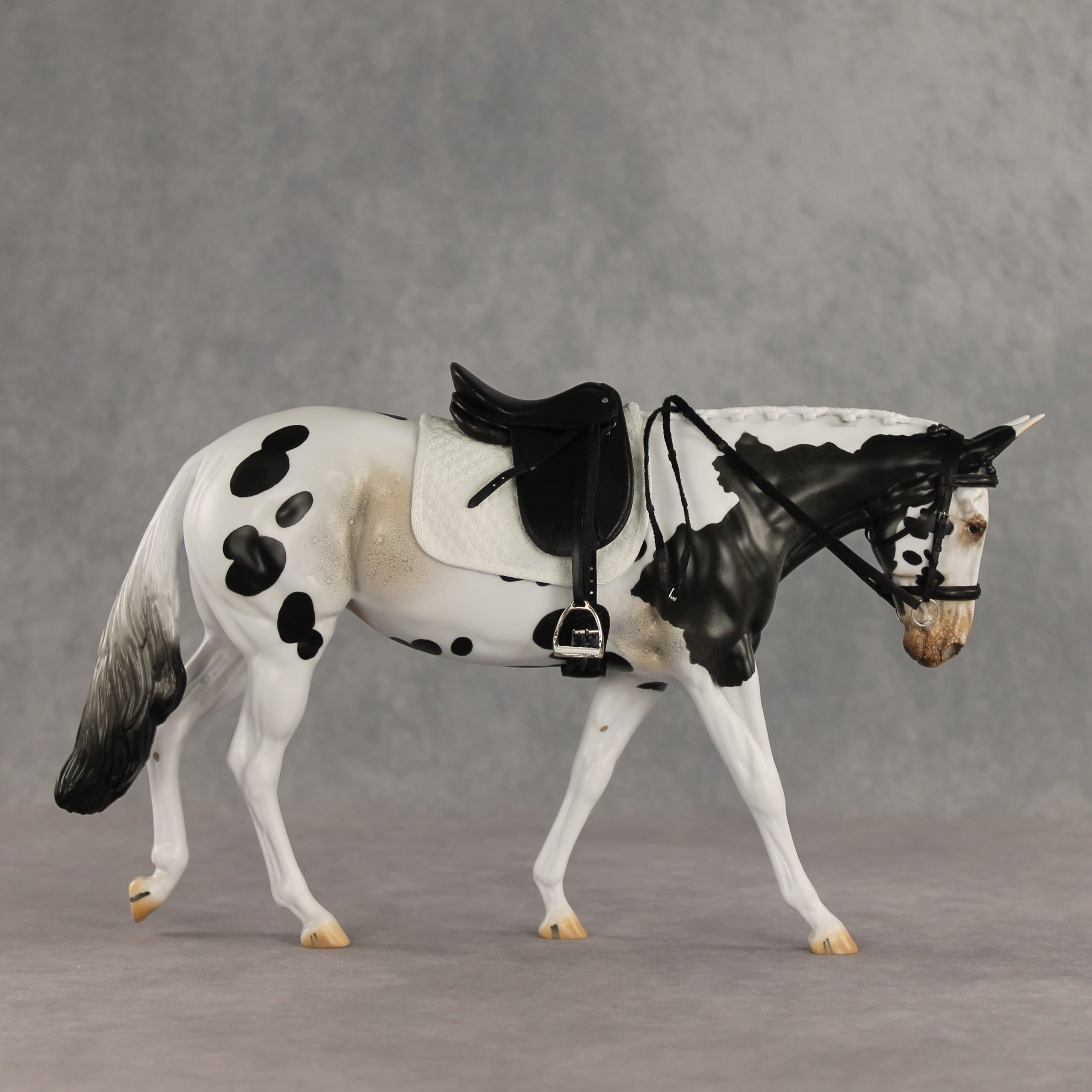 Muletastically Eloquent LE-15 EFCM Mule by Anna Rieck PFP26