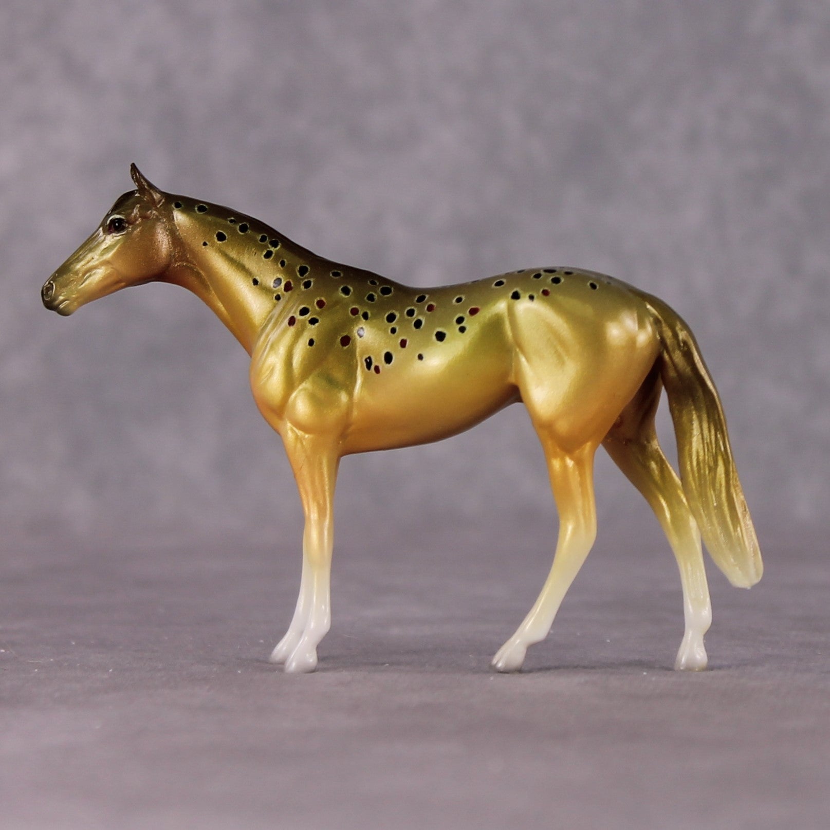 "Salmo Trutta" OOAK Glossy Brown Trout Inspired Thoroughbred Chip by Jess Hamill