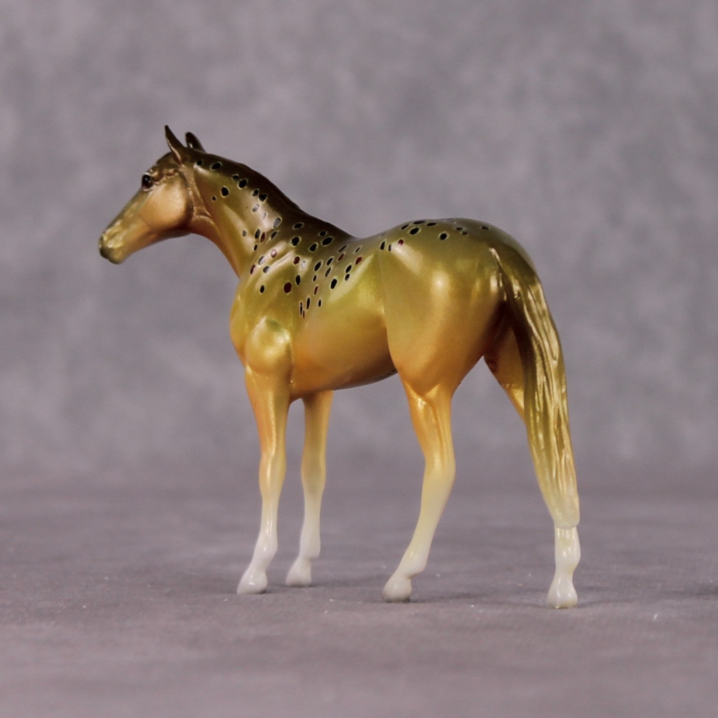 "Salmo Trutta" OOAK Glossy Brown Trout Inspired Thoroughbred Chip by Jess Hamill