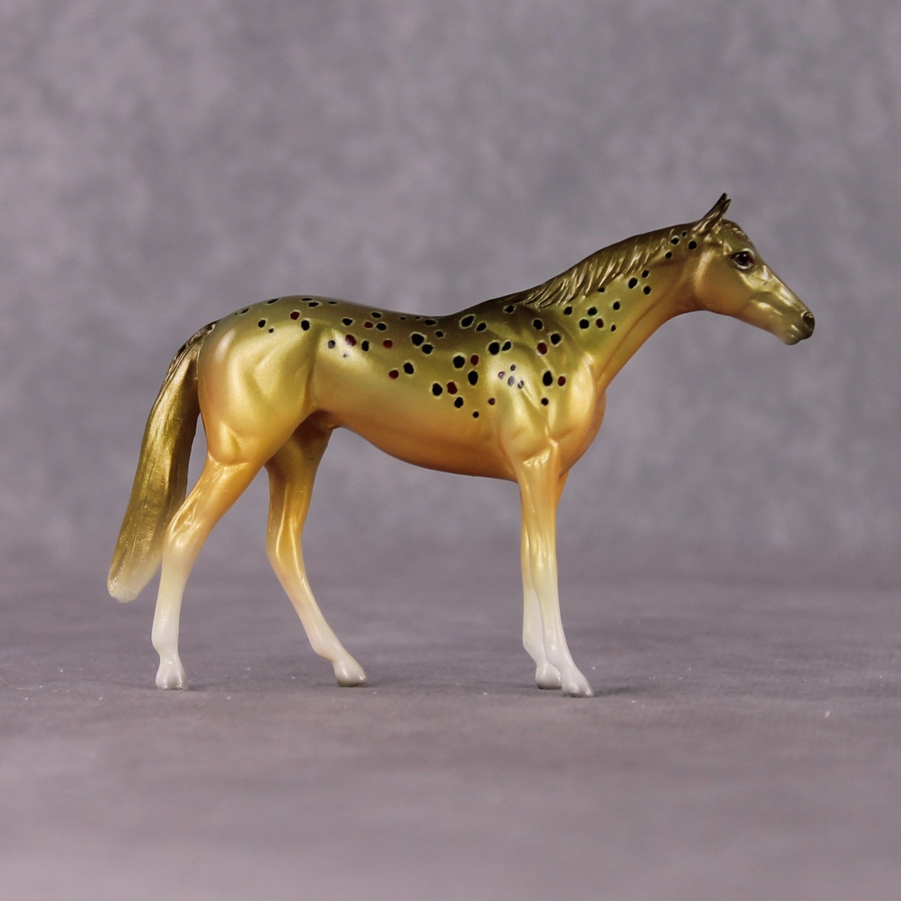"Salmo Trutta" OOAK Glossy Brown Trout Inspired Thoroughbred Chip by Jess Hamill