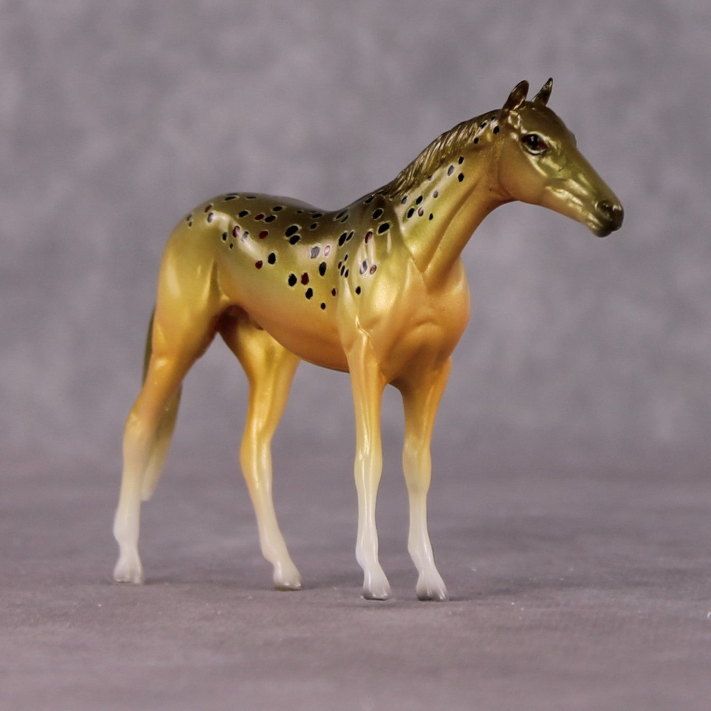 "Salmo Trutta" OOAK Glossy Brown Trout Inspired Thoroughbred Chip by Jess Hamill