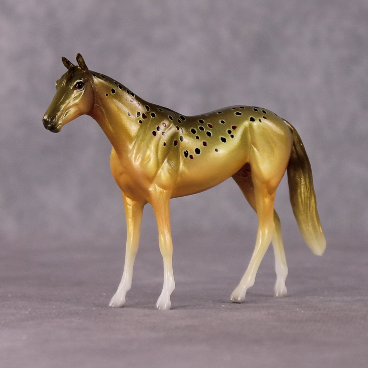 "Salmo Trutta" OOAK Glossy Brown Trout Inspired Thoroughbred Chip by Jess Hamill