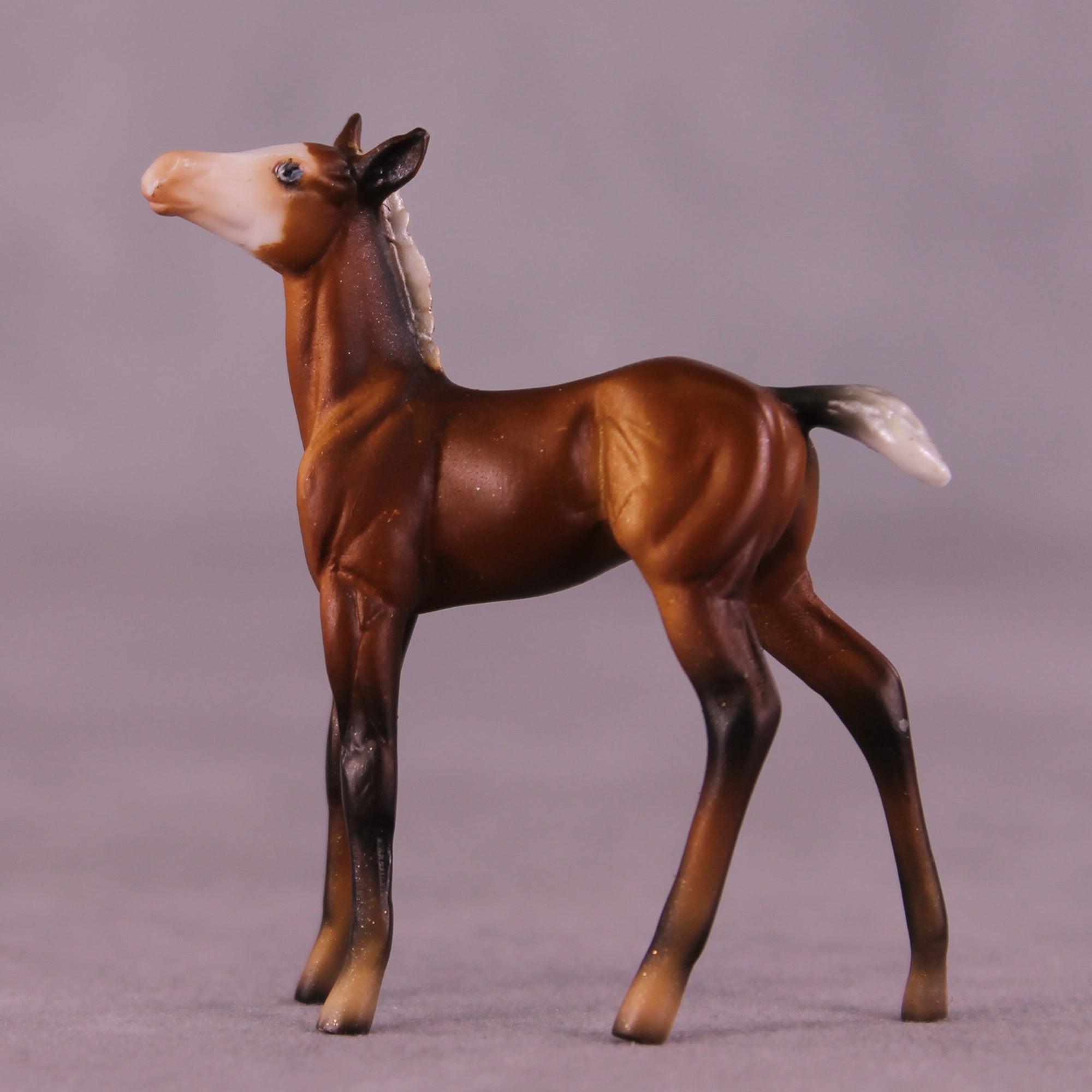 Ant Sample Chip Foal by Dawn Quick SS925