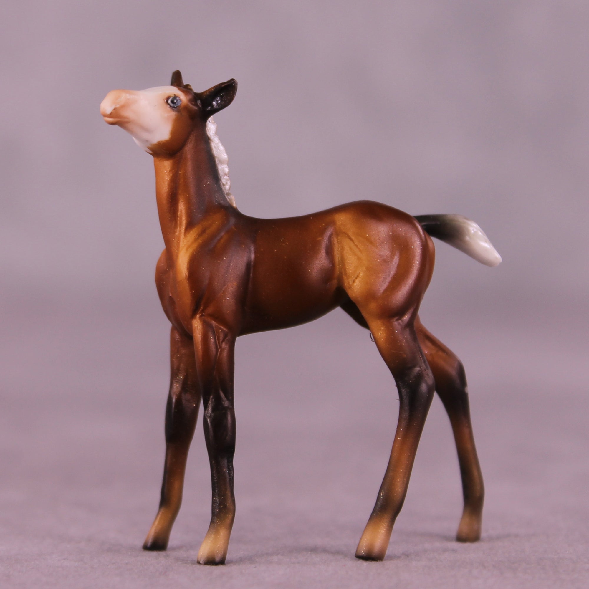 Ant Sample Chip Foal by Dawn Quick SS925