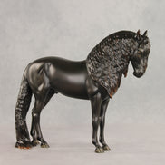 SAMPLE Through The Dark LE-5 Run Dappled Black Factory Custom Andalusian By Ashley Palmer SS0926