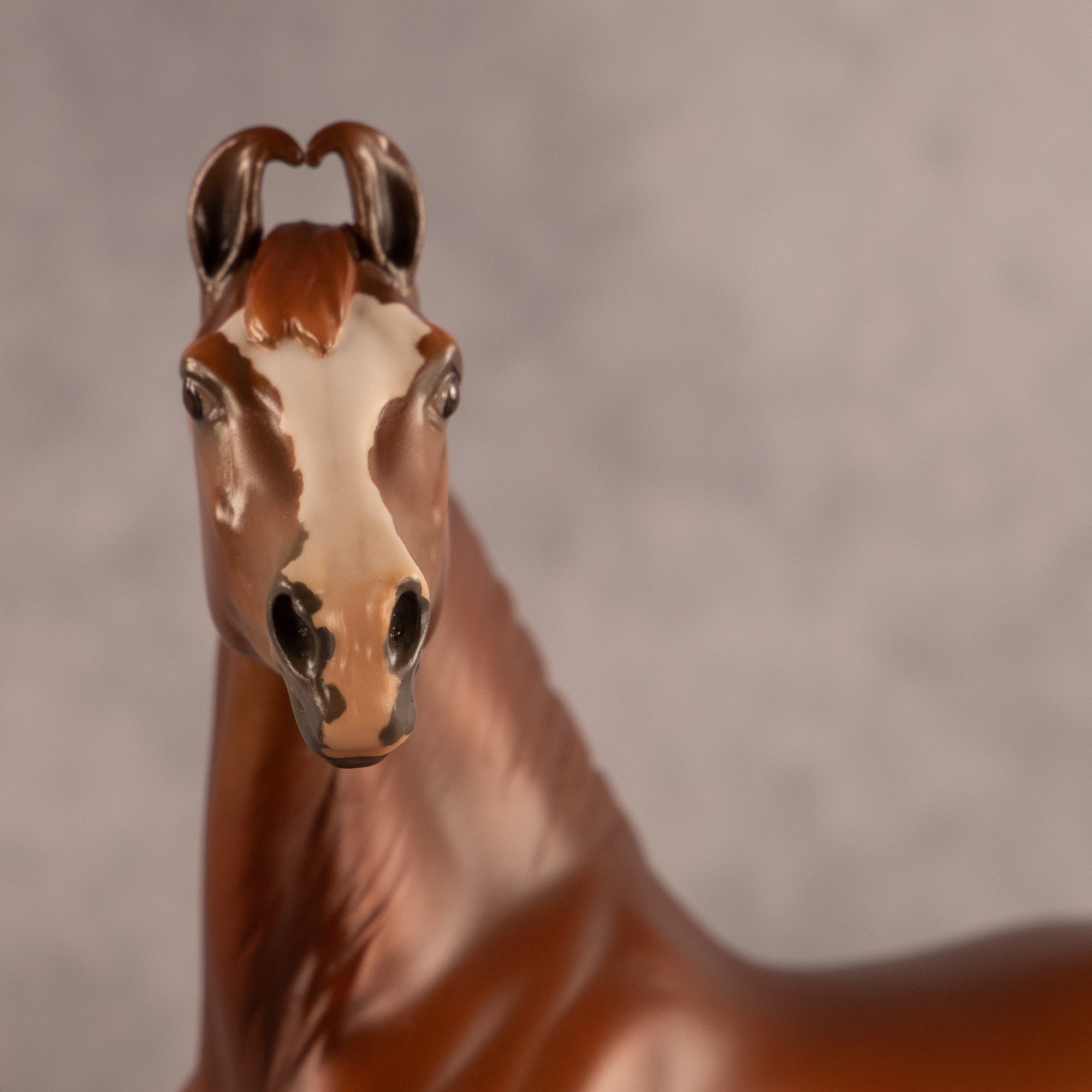 Rathore OOAK EFCM Morgan by Jess Hamill &amp; Melanie Miller EQ26