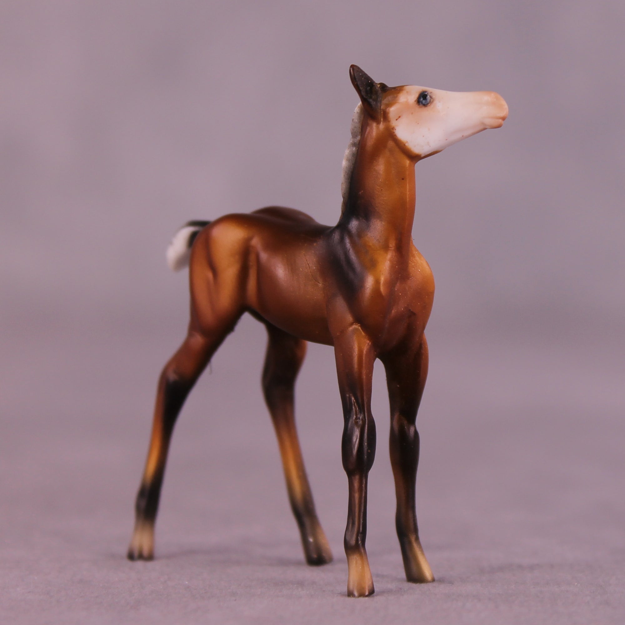 Ant Sample Chip Foal by Dawn Quick SS925