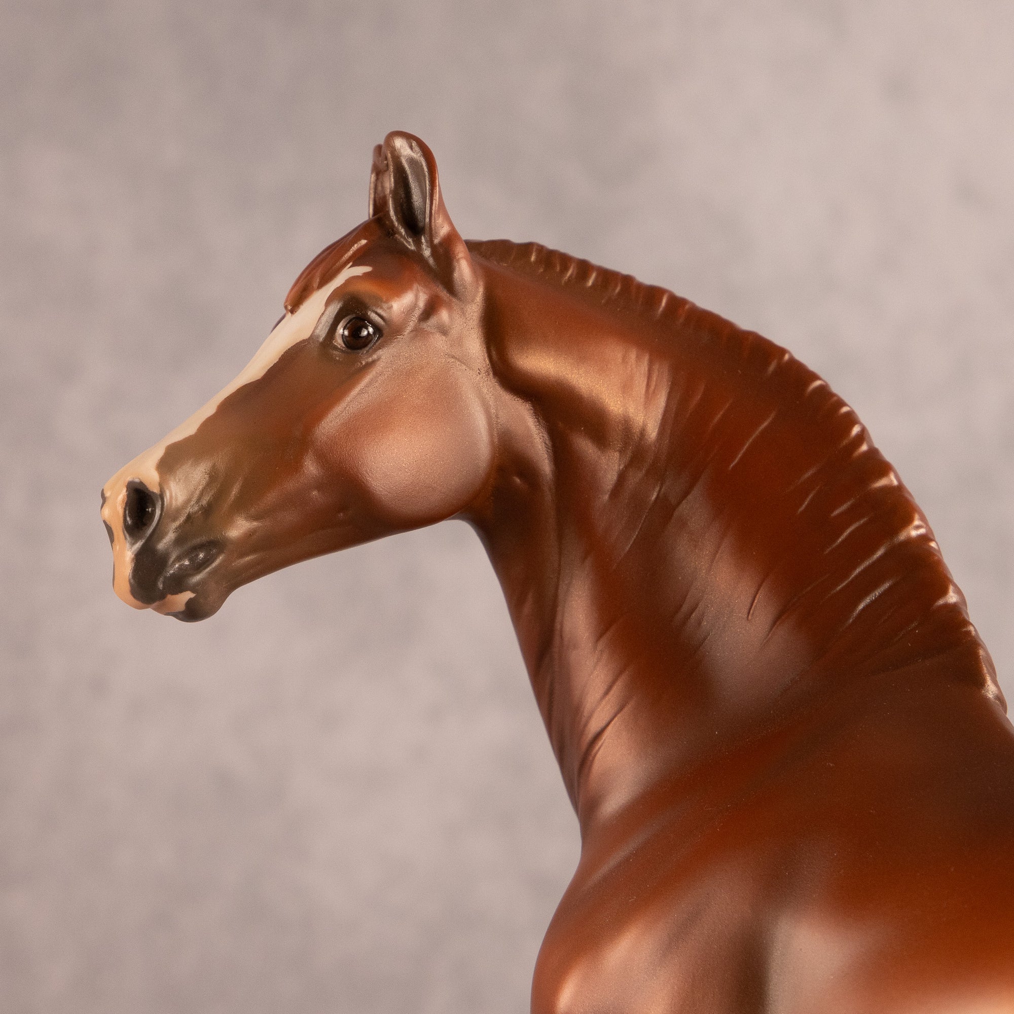 Rathore OOAK EFCM Morgan by Jess Hamill &amp; Melanie Miller EQ26