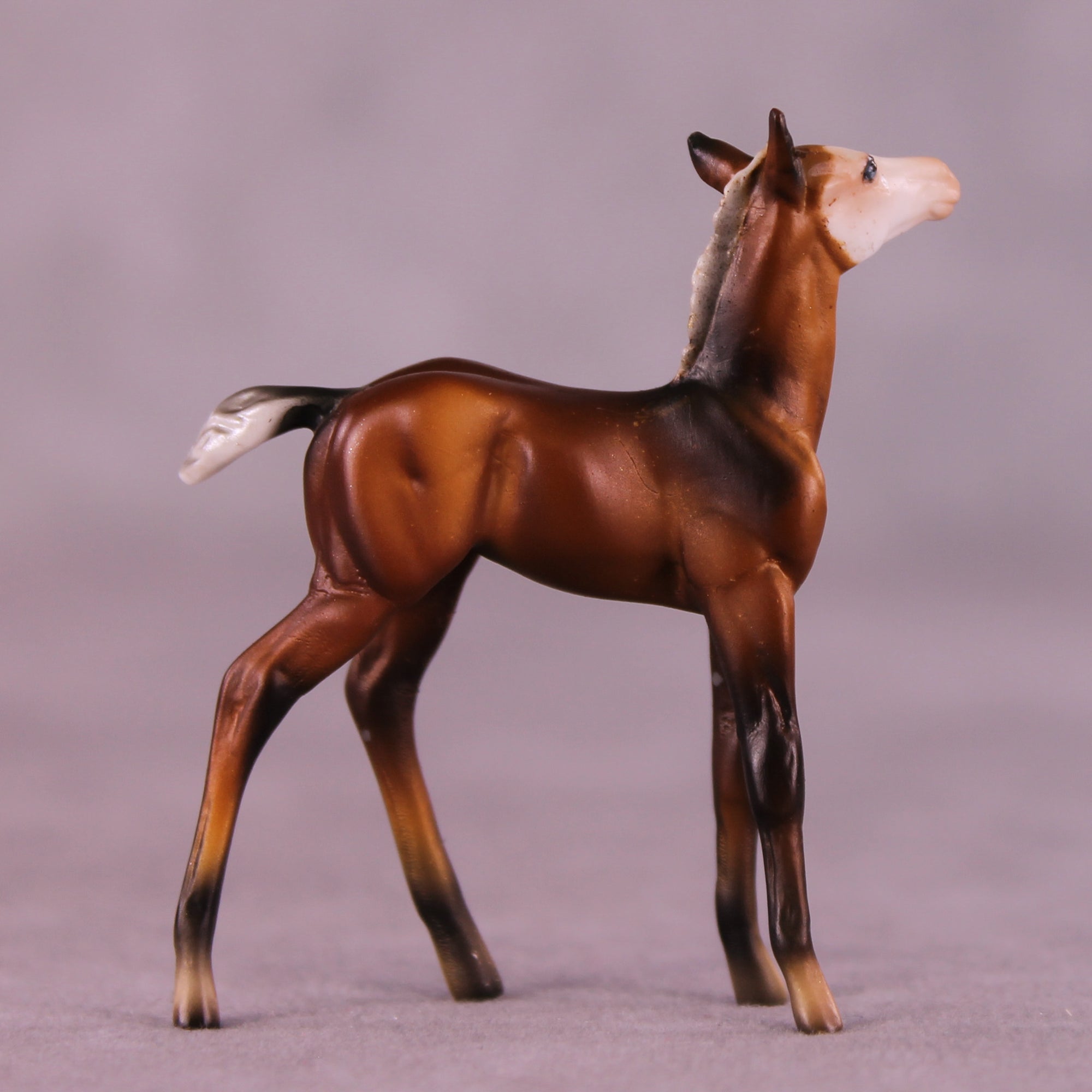 Ant Sample Chip Foal by Dawn Quick SS925