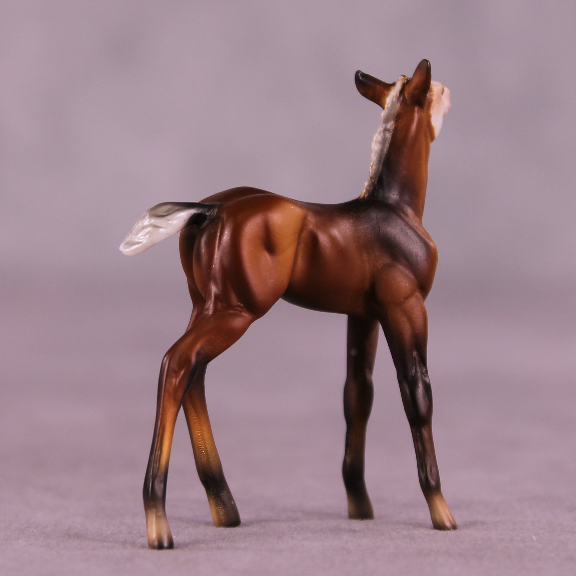 Ant Sample Chip Foal by Dawn Quick SS925