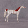 &quot;Crystal Red&quot; OOAK Glossy Crystal Red Shrimp Inspired Arabian Chip by Jess Hamill