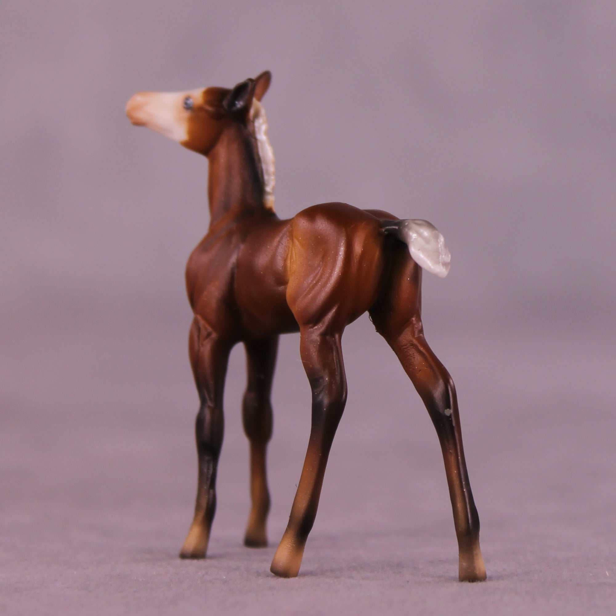 Ant Sample Chip Foal by Dawn Quick SS925