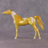 &quot;Hippocampus Kuda&quot; OOAK Glossy Seahorse Inspired Arabian Chip by Jess Hamill