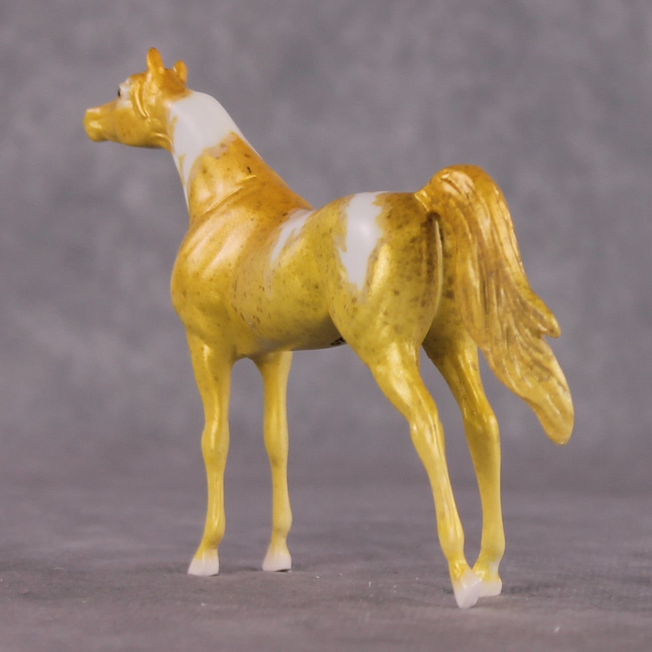 "Hippocampus Kuda" OOAK Glossy Seahorse Inspired Arabian Chip by Jess Hamill