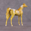 &quot;Hippocampus Kuda&quot; OOAK Glossy Seahorse Inspired Arabian Chip by Jess Hamill