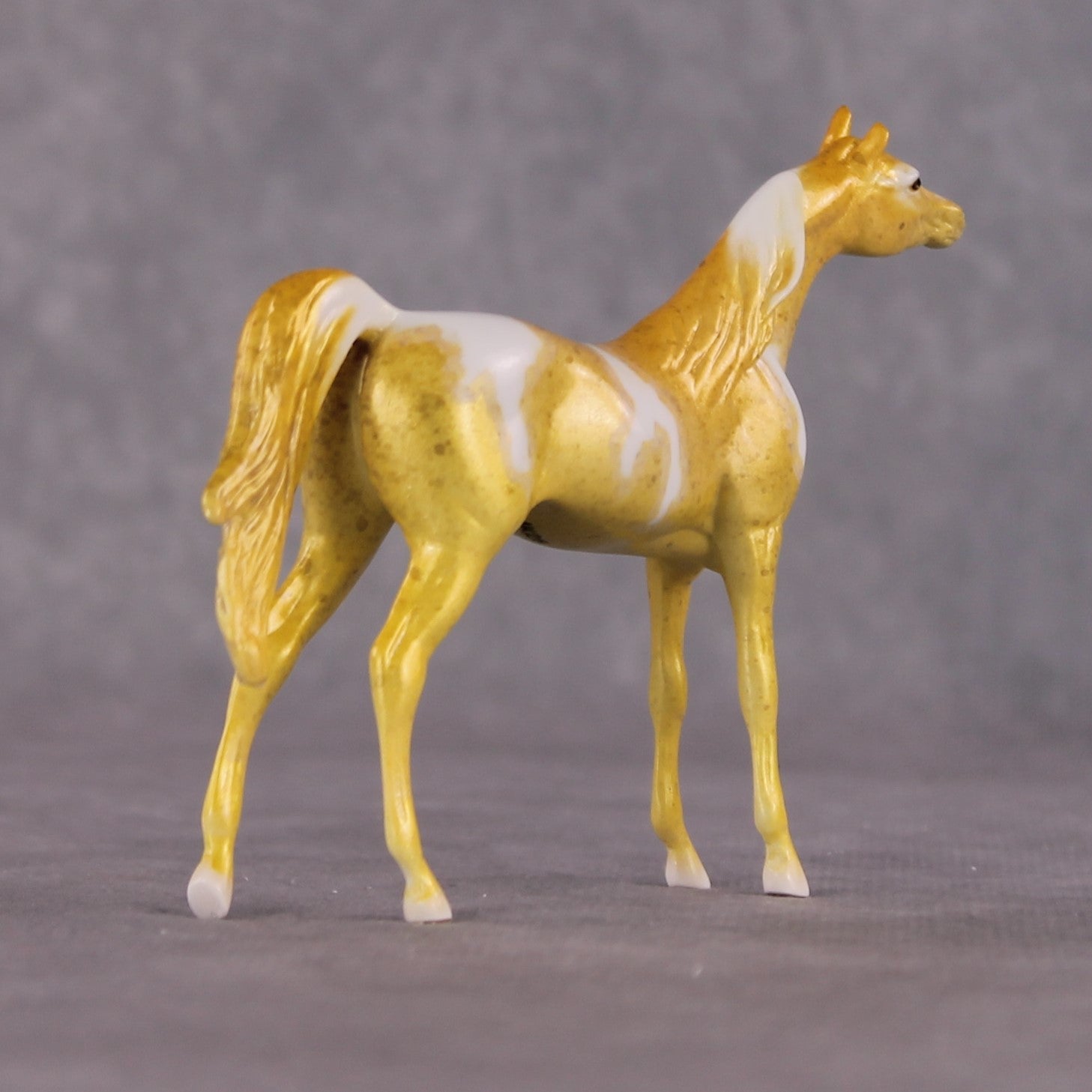 "Hippocampus Kuda" OOAK Glossy Seahorse Inspired Arabian Chip by Jess Hamill