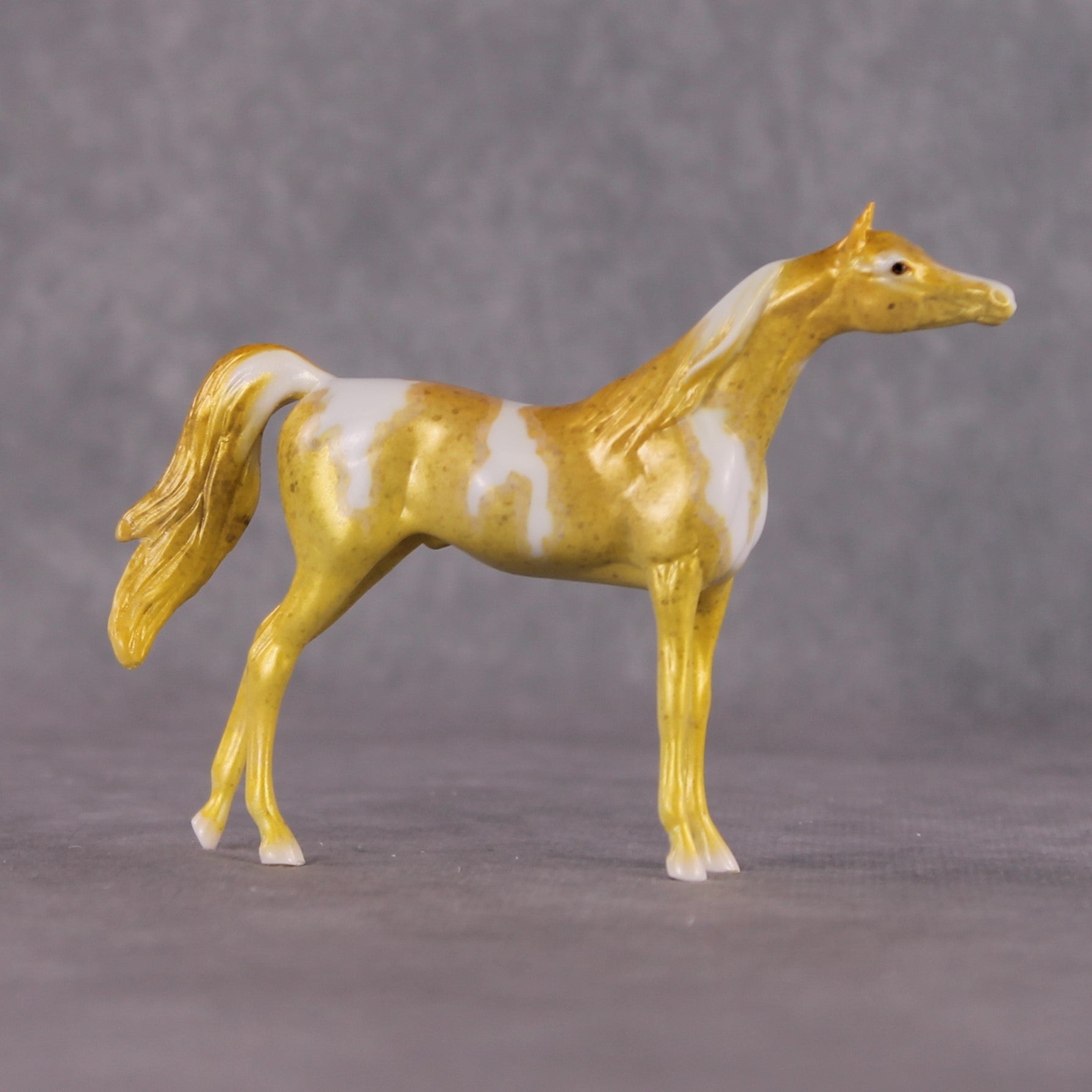 "Hippocampus Kuda" OOAK Glossy Seahorse Inspired Arabian Chip by Jess Hamill