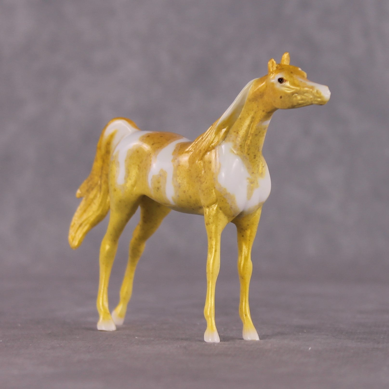 "Hippocampus Kuda" OOAK Glossy Seahorse Inspired Arabian Chip by Jess Hamill