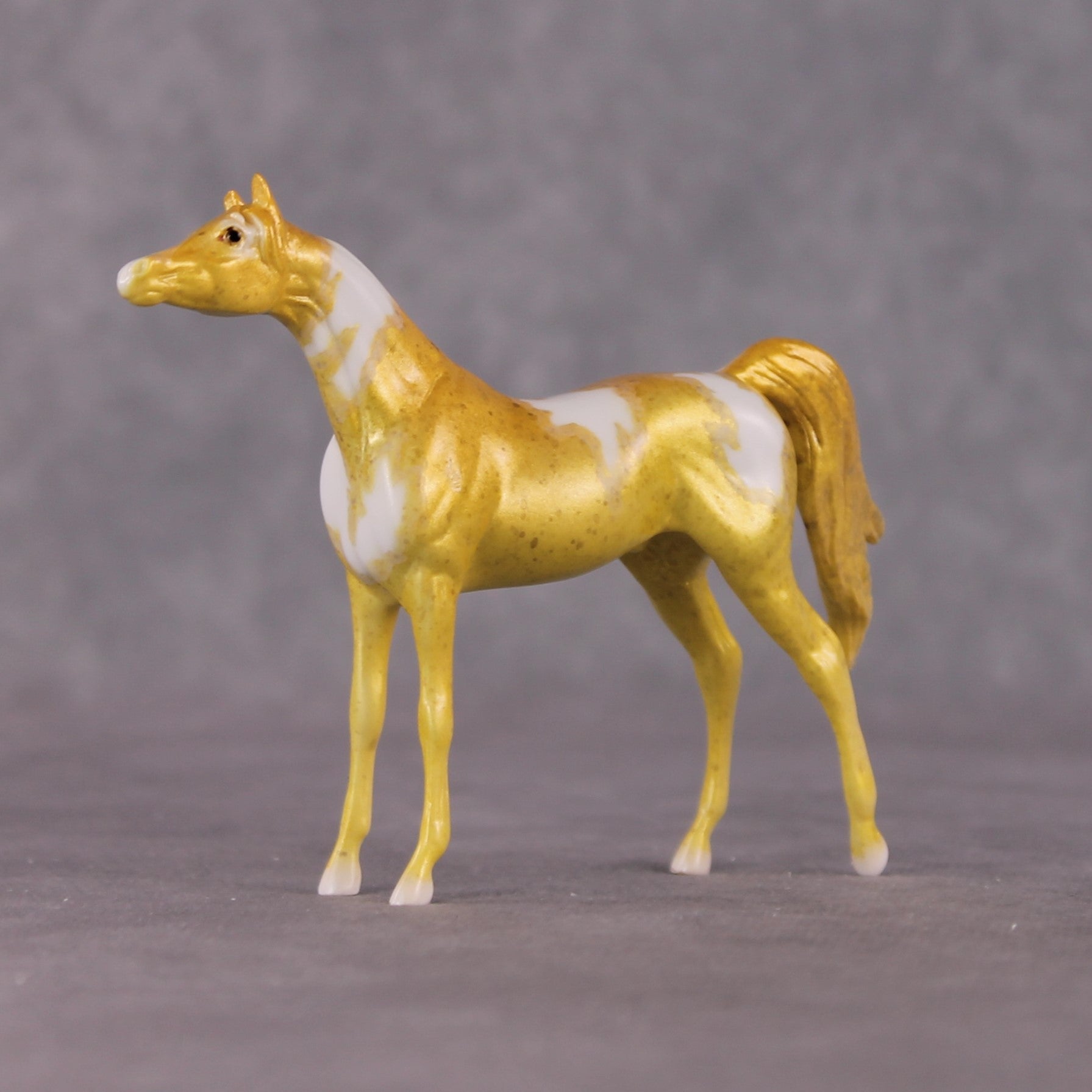 "Hippocampus Kuda" OOAK Glossy Seahorse Inspired Arabian Chip by Jess Hamill