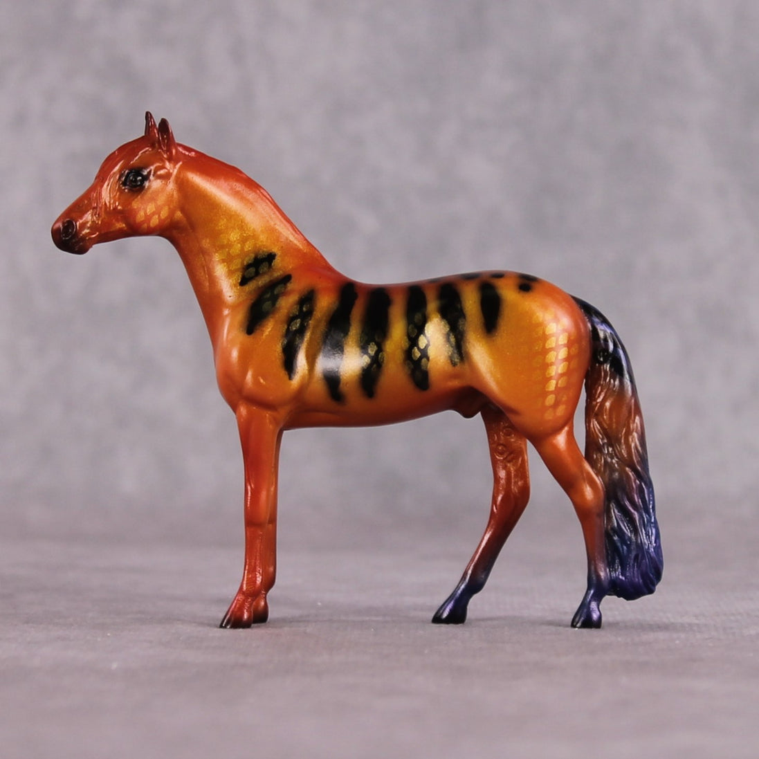 "C Loricula" OOAK Glossy Flame Angelfish Inspired Andalusian Chip by Jess Hamill