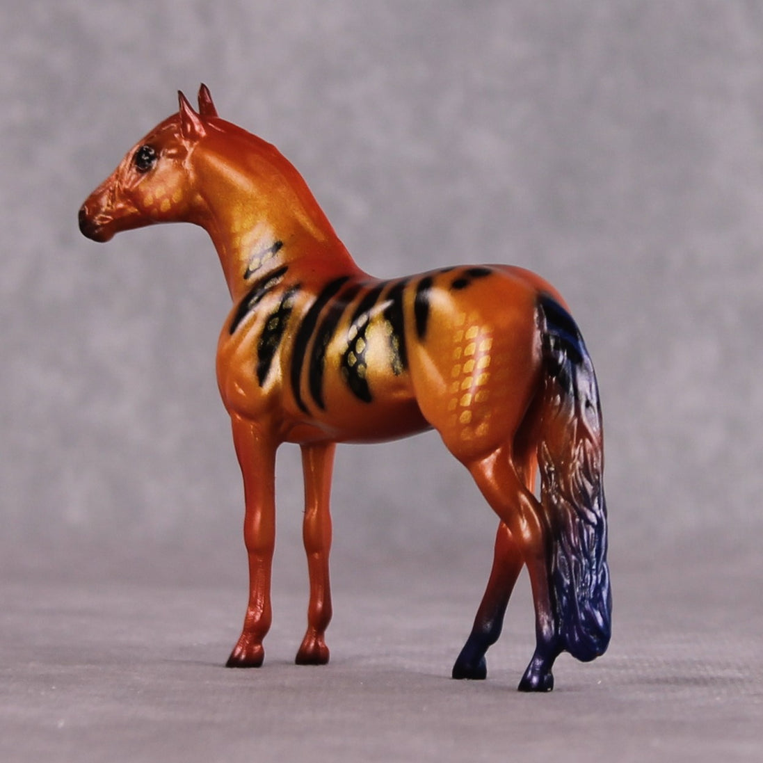 "C Loricula" OOAK Glossy Flame Angelfish Inspired Andalusian Chip by Jess Hamill
