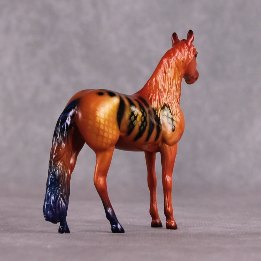 "C Loricula" OOAK Glossy Flame Angelfish Inspired Andalusian Chip by Jess Hamill
