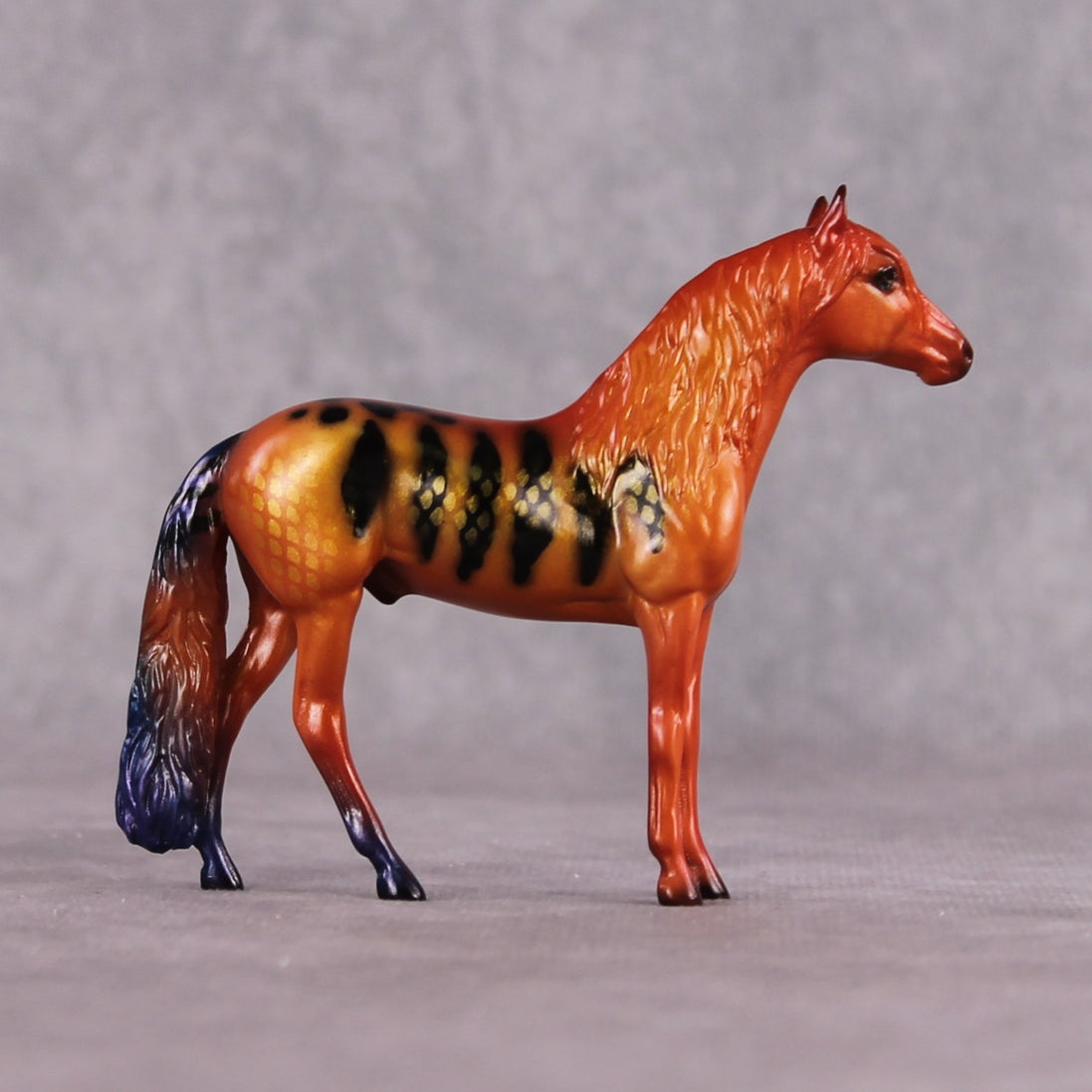 "C Loricula" OOAK Glossy Flame Angelfish Inspired Andalusian Chip by Jess Hamill