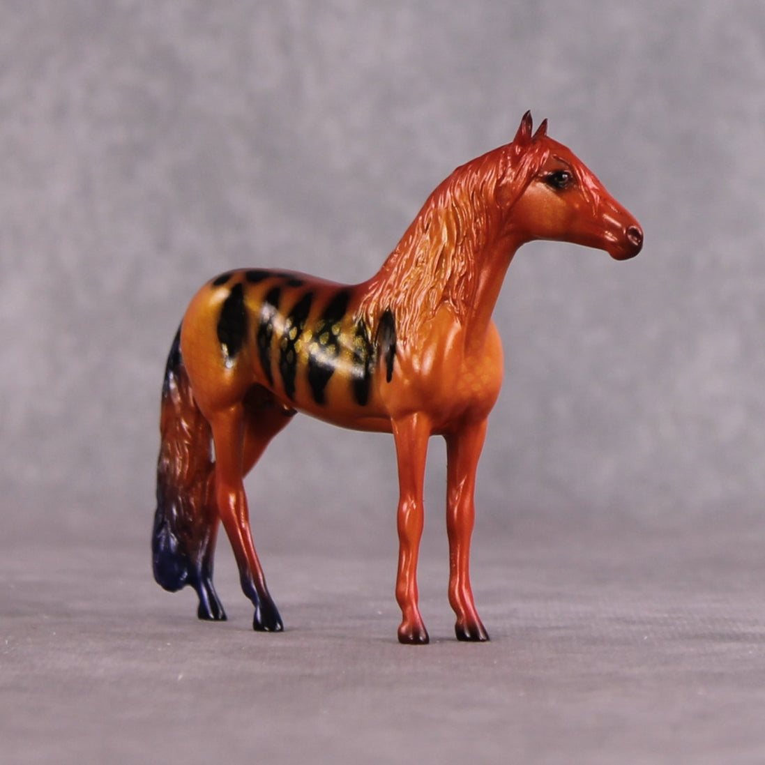 "C Loricula" OOAK Glossy Flame Angelfish Inspired Andalusian Chip by Jess Hamill