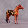 &quot;C Loricula&quot; OOAK Glossy Flame Angelfish Inspired Andalusian Chip by Jess Hamill