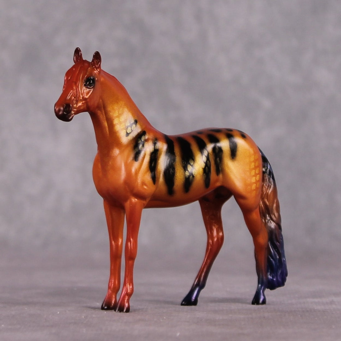"C Loricula" OOAK Glossy Flame Angelfish Inspired Andalusian Chip by Jess Hamill