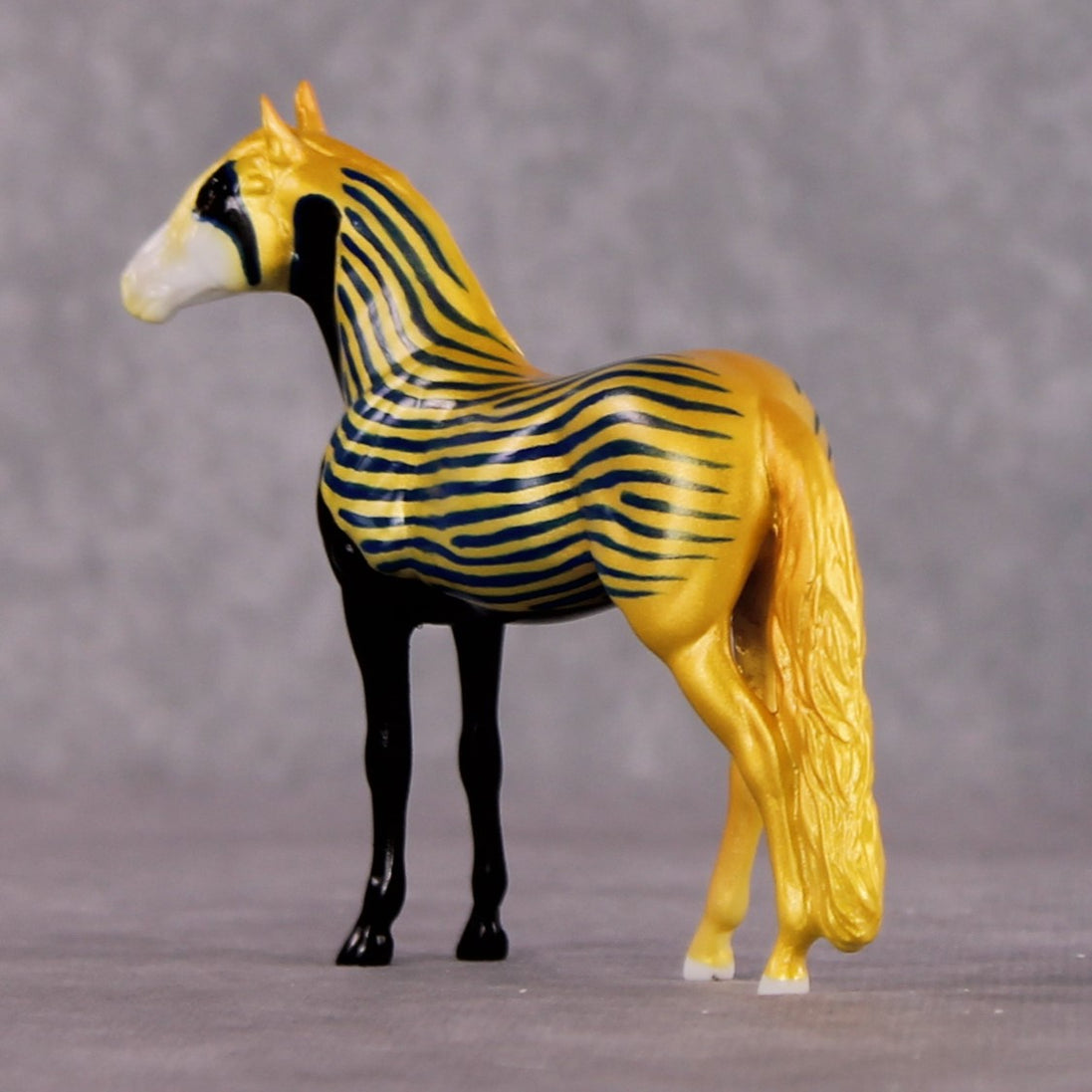 "King" OOAK Glossy Emperor Angelfish Inspired Andalusian Chip by Jess Hamill