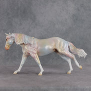 June Special Design-A-Horse FCM Arabian Mare SDAH26