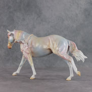 June Special Design-A-Horse FCM Arabian Mare SDAH26