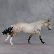 June Special Design-A-Horse FCM Arabian Mare SDAH26