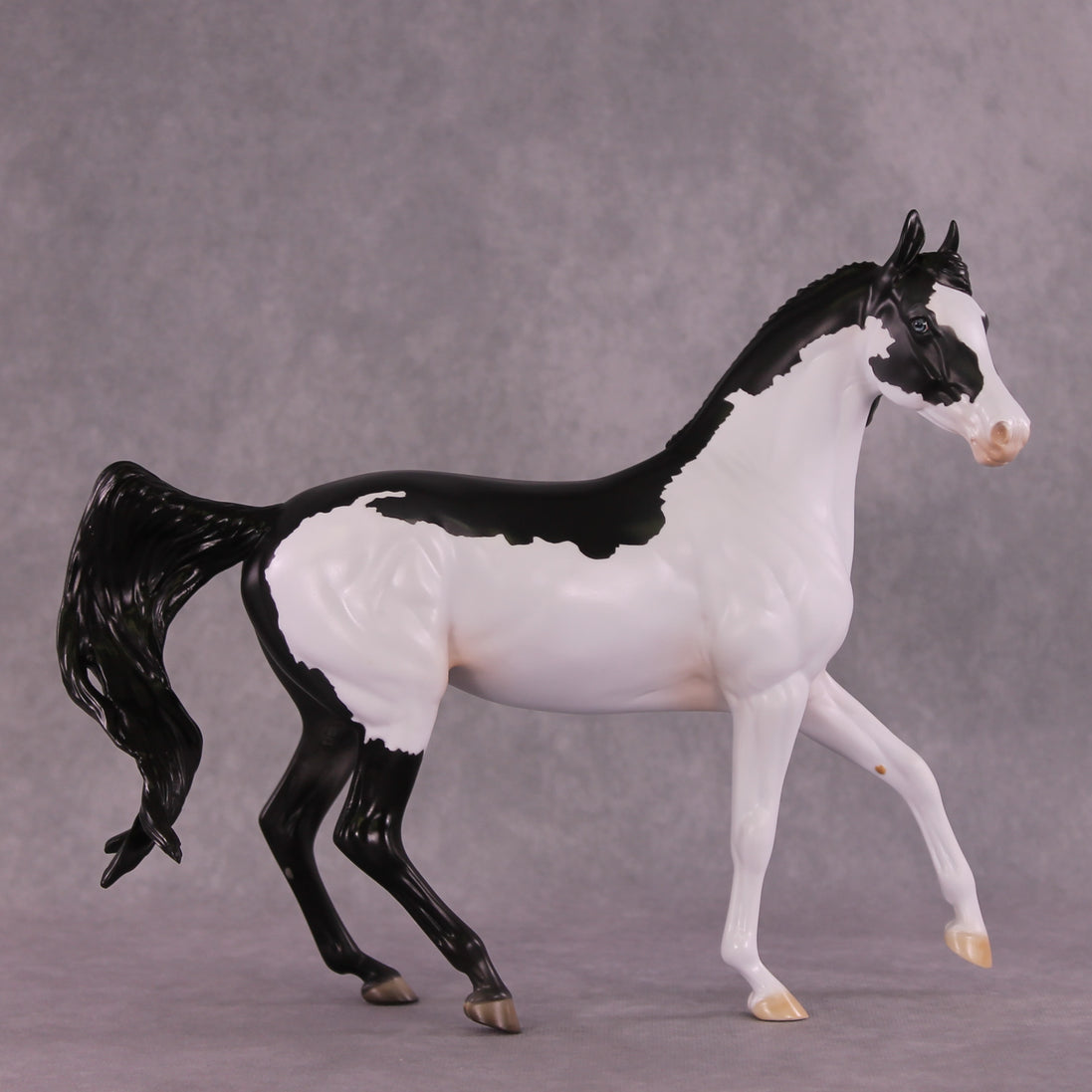"Minerva" OOAK FCM Arab Mare by Dawn Quick EQ25